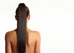 Анатомия волоса: из чего он состоит и как развивается
